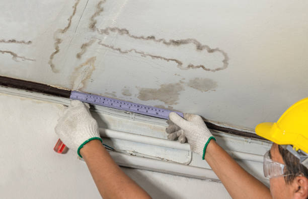 Reliable Water Damage contractor in Grand Coulee, WA by Water Damage Irwin